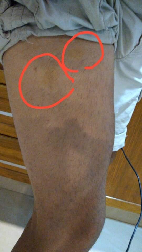 83770027_1495715477298617_567988963671801856_n