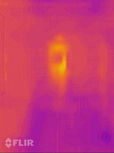 84006184_3402876896453690_3462389264354902016_n