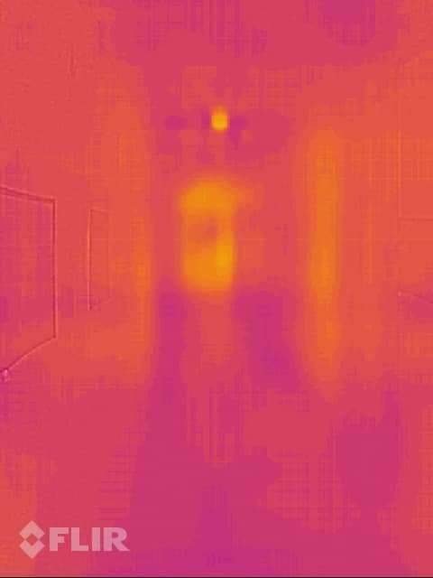 83690160_3402876969787016_8163899610335543296_n