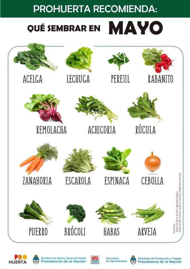 Que sembrar en Mayo en Argentina