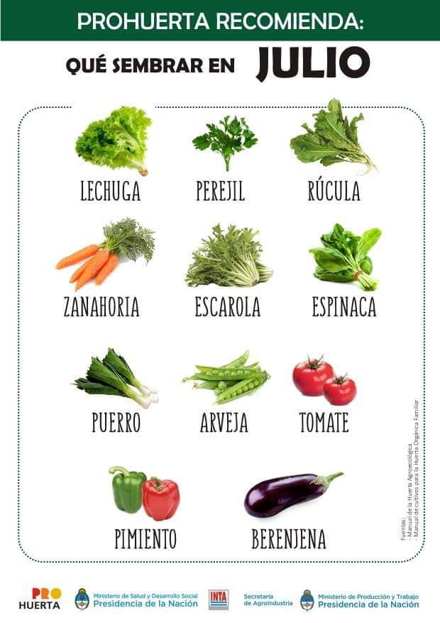 Que sembrar en Julio en Argentina