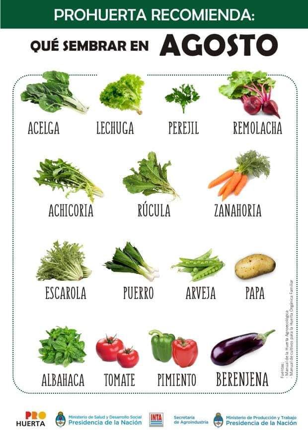 Que sembrar en Agosto en Argentina