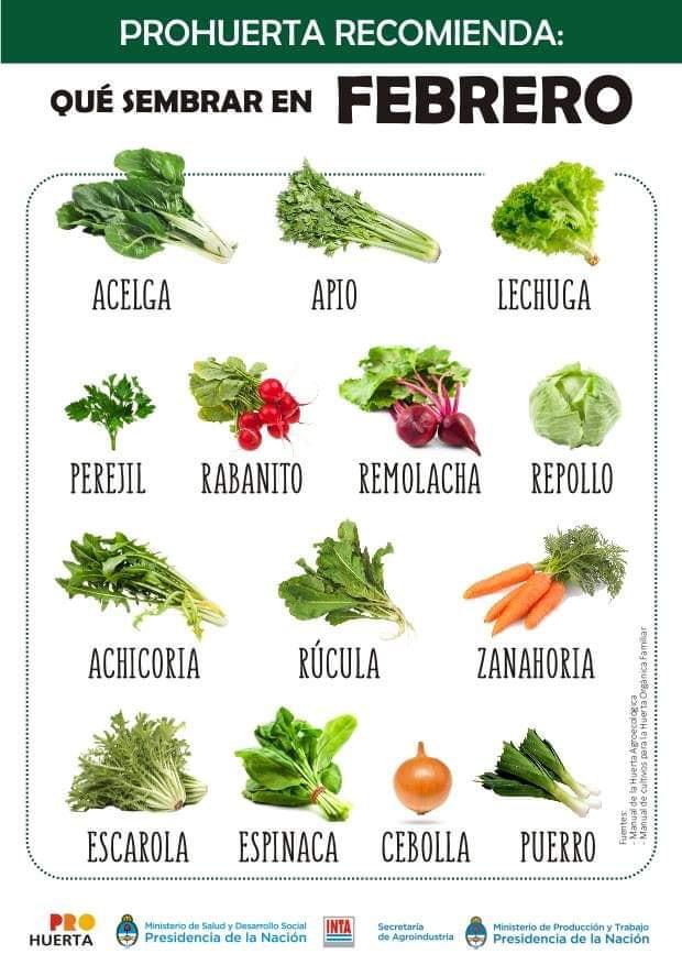 Que sembrar en Febrero en Argentina