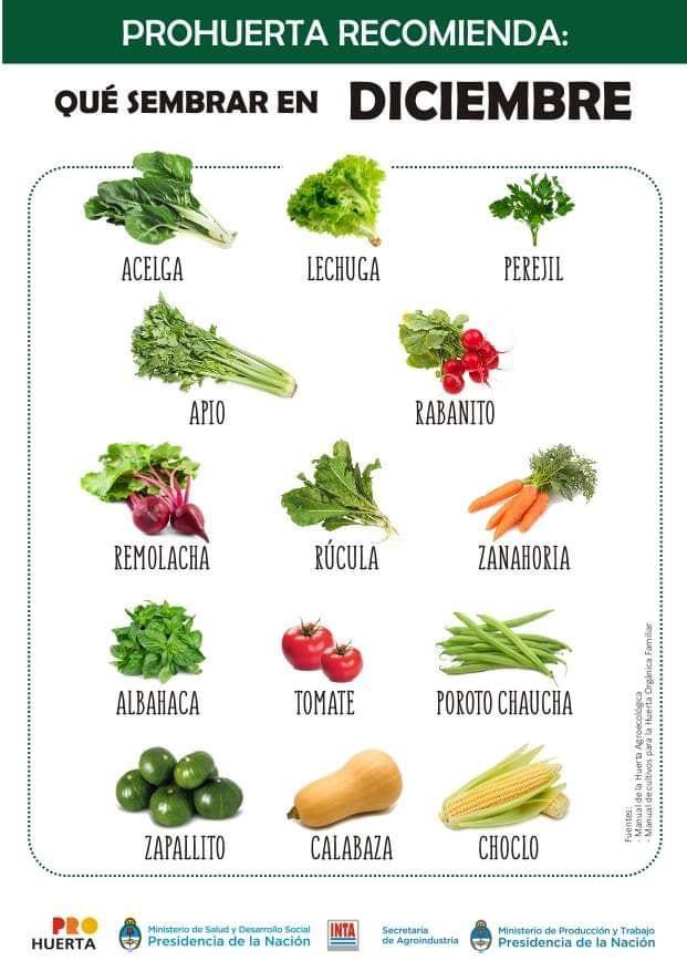 Que sembrar en Diciembre en Argentina