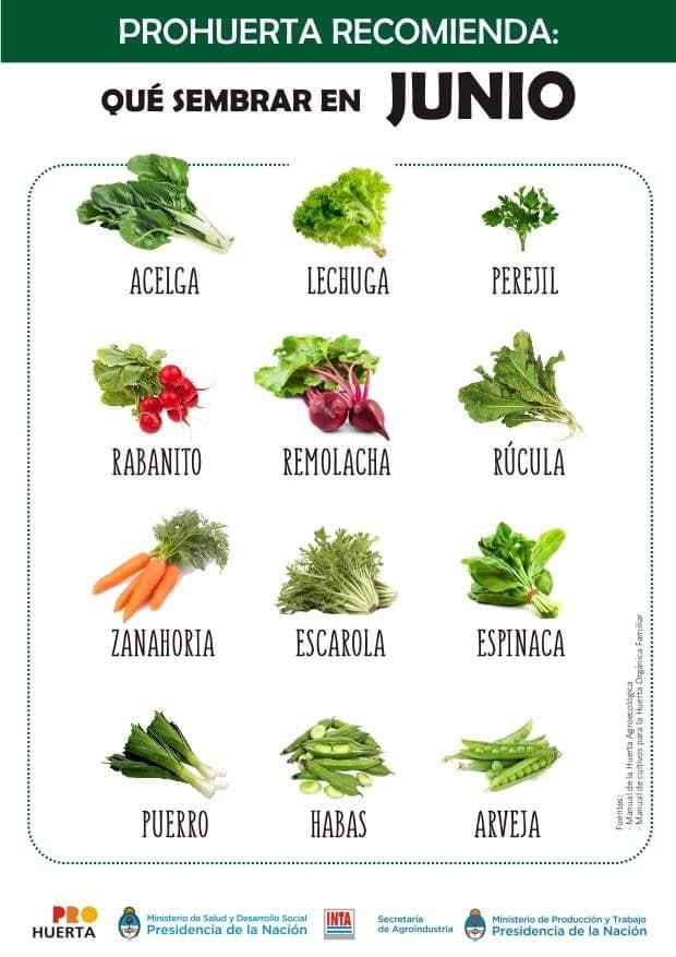 Que sembrar en Junio en Argentina