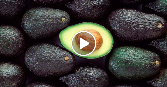 Palta y la sequía