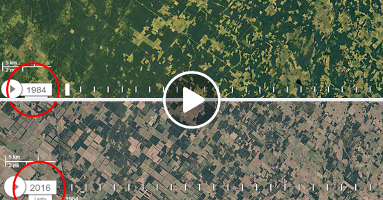 Desmonte de 1984 a 2016 argentina