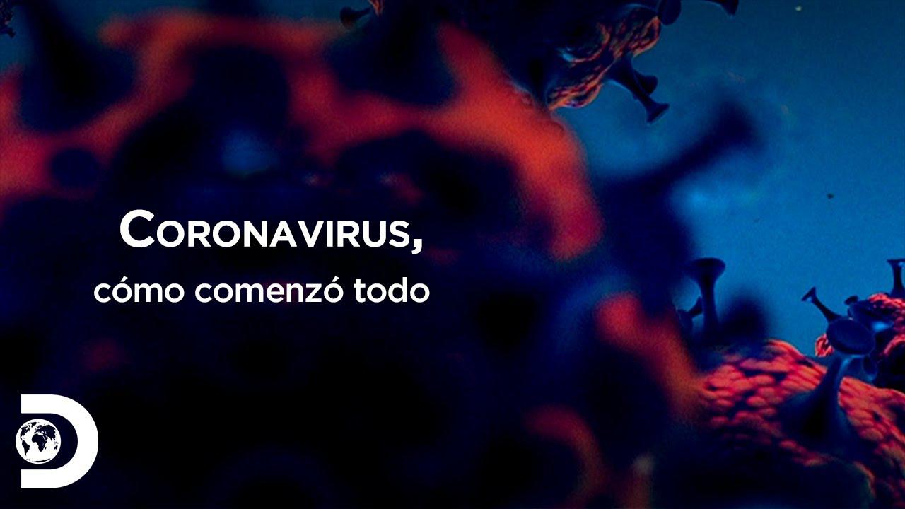 Coronavirus