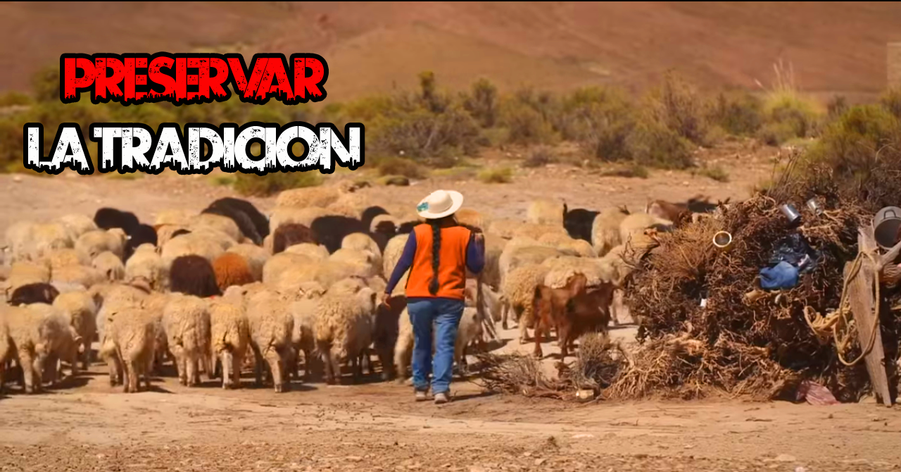 Tradición Norte Argentino